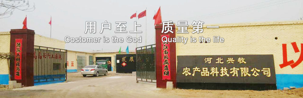 ӱũƷƼ޹˾